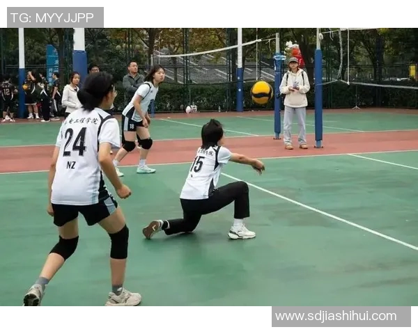 实时新闻深圳排球队的团队协作之道如何在排球赛场上实现默契与胜利